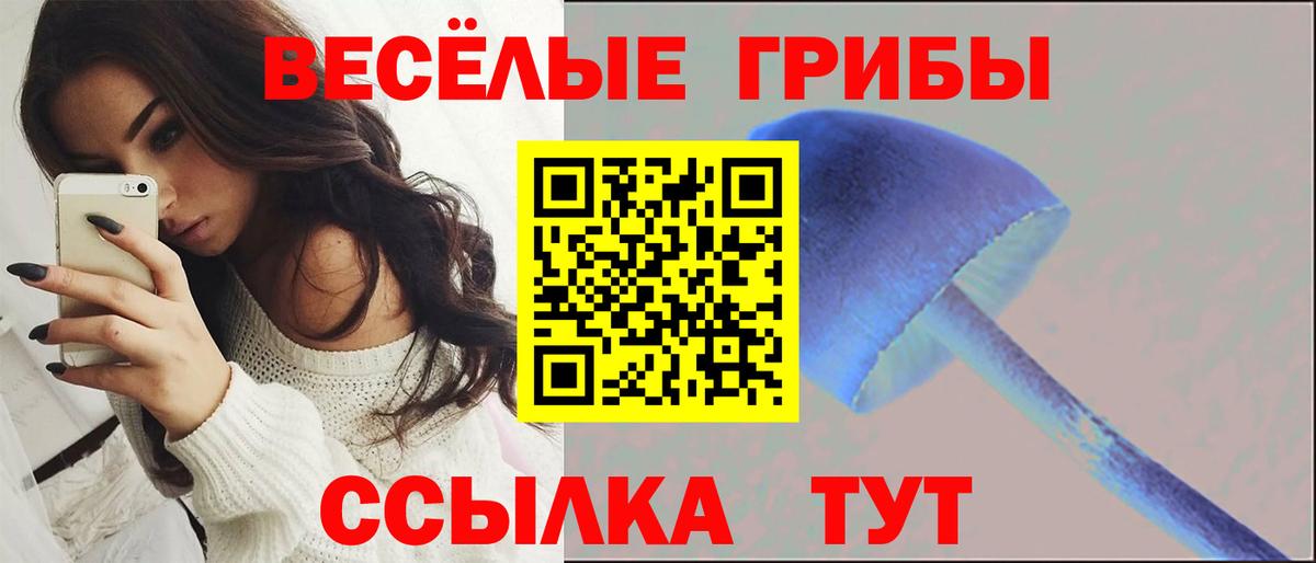 Галлюциногенные грибы прущие грибы Боровичи